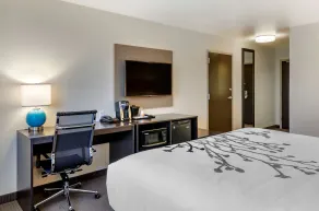 Sleep Inn & Suites Great Falls Airport - Room