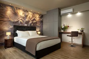 Pallada Athens boutique rooms & apartments - Room