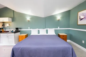 Warm Mineral Springs Motel - Værelse