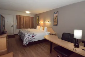 Red Roof Inn Buffalo - Hamburg/ I-90 - Chambre