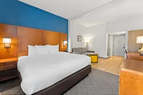 Comfort Suites Bethlehem Near Lehigh University and LVI Airport - Værelse