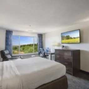 Oceanview Inn at the Arch - Chambre