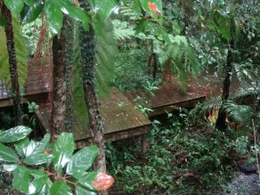 Treetops Montville - Utsikt fra rommet
