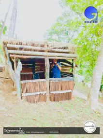 Homely Stay Balana Kapolla - Jagt