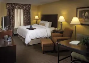 Hampton Inn Schenectady Downtown - Chambre