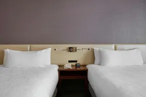 Hilton Garden Inn San Francisco Arpt North - Chambre