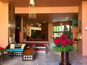 Basma Hotel Aswan - Recepción