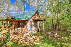 9 Mi to Creeper Trail: Woodsy Abingdon Cabin - Interiør