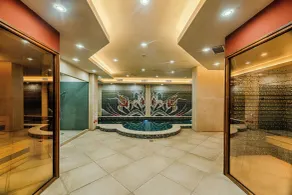 Ardo Spa Hotel and Restaurant - Pool