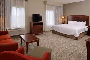 Hampton Inn by Hilton Litchfield - Camera
