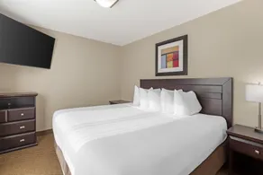 Best Western Bonnyville Inn & Suites - Room