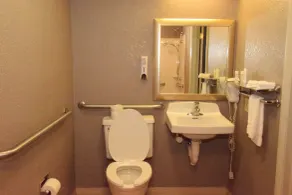 Red Roof Inn Buffalo - Hamburg/ I-90 - Salle de bain