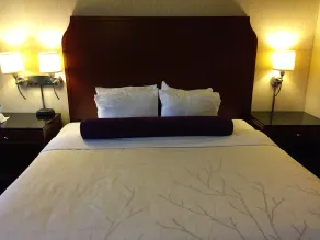 The Black Mountain Inn - Chambre