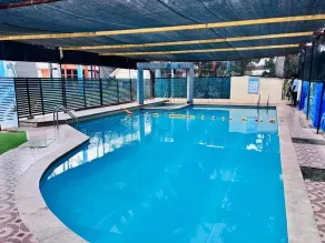 VIVA Resort - Pool