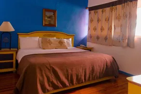 Hotel Residencia Polanco - Room