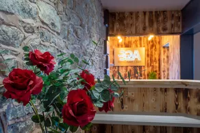 Springfield Hotel & Health Club - Restaurant