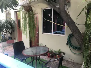 Funky Monkey - Terrasse/Patio