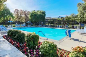Four Points by Sheraton Pleasanton - Piscine