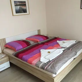 Frankenstube - Room