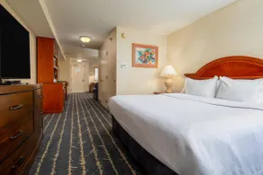 Hilton Garden Inn Milwaukee Northwest Conference Center - Chambre