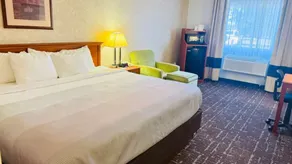 Quality Inn Marshall near University - Rom