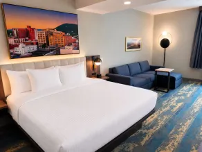 La Quinta Inn & Suites by Wyndham Roanoke Hollins/I-81 - Værelse