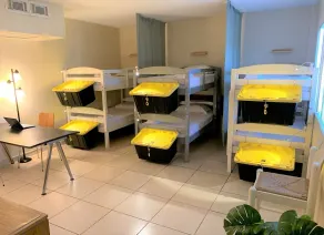 Bposhtels Hollywood Florida - Chambre