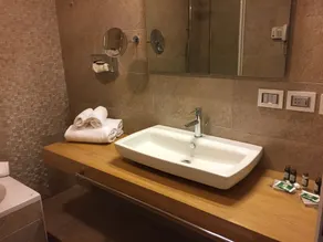 Eureka Palace Hotel Spa Resort - Salle de bain