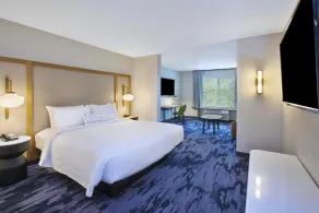 Fairfield Inn & Suites by Marriott Flint Grand Blanc - Chambre
