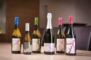 Weingut Familie Bauer - Vingård