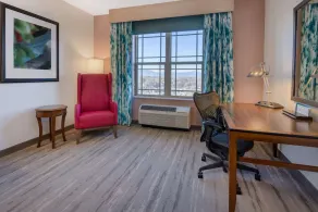 Hilton Garden Inn Roanoke - Chambre