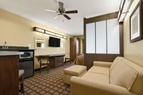 Microtel Inn & Suites by Wyndham Round Rock - Chambre