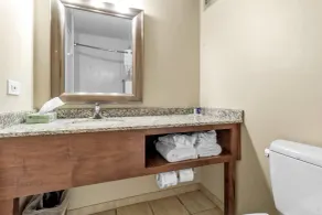 Buffalo Airport Hotel - Salle de bain