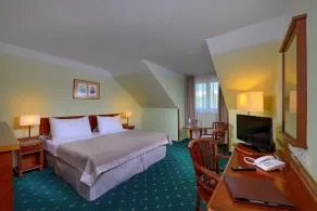 HOTEL SELSKÝ DVŮR - Camera