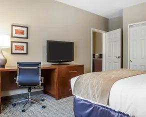 Comfort Inn & Suites Sturbridge-Brimfield - Chambre