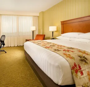Drury Plaza Hotel Nashville Franklin - Chambre