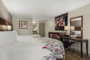 Red Roof Inn Baldwin - Room