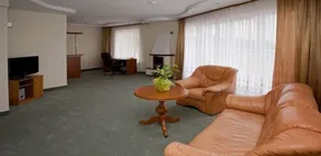 Hotel Ambasador Chojny - Room