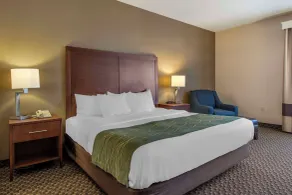 Comfort Inn Charlotte - Zimmer