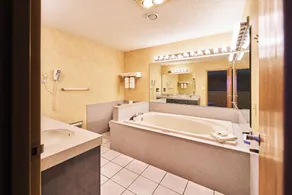 Econo Lodge Maquoketa - Badrum