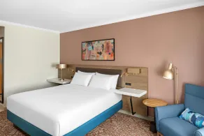 Hilton Garden Inn Missoula - Rum