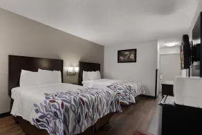 Red Roof Inn & Suites Savannah Airport - Chambre
