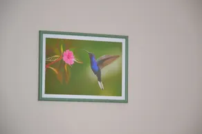 Le colibri bleu - Værelse