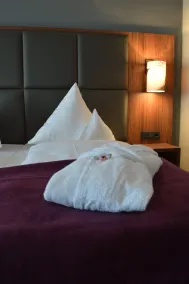 Sante Royale Hotel- & Gesundheitsresort Bad Langensalza - Room