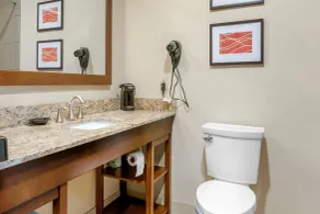 Comfort Inn Sault Ste Marie MI - Salle de bain
