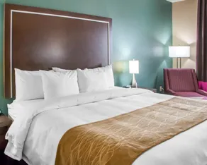 Comfort Inn & Suites San Marcos near Outlet Mall - Chambre