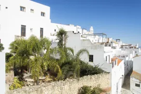Las Palmeras del Califa - View from room
