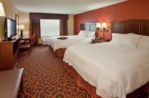 Hampton Inn & Suites Dickinson - Chambre