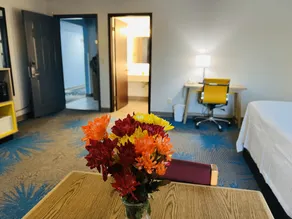 Days Inn by Wyndham Jamestown - Chambre