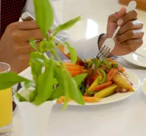Nejobugg Palace Hotel - Restaurant